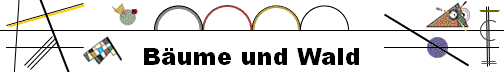 B�ume und Wald
