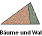 B�ume und Wald