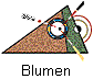 Blumen