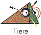 Tiere